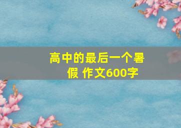 高中的最后一个暑假 作文600字